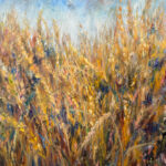 Field Of Wheat