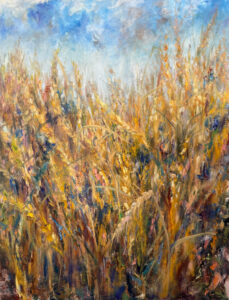 Field Of Wheat