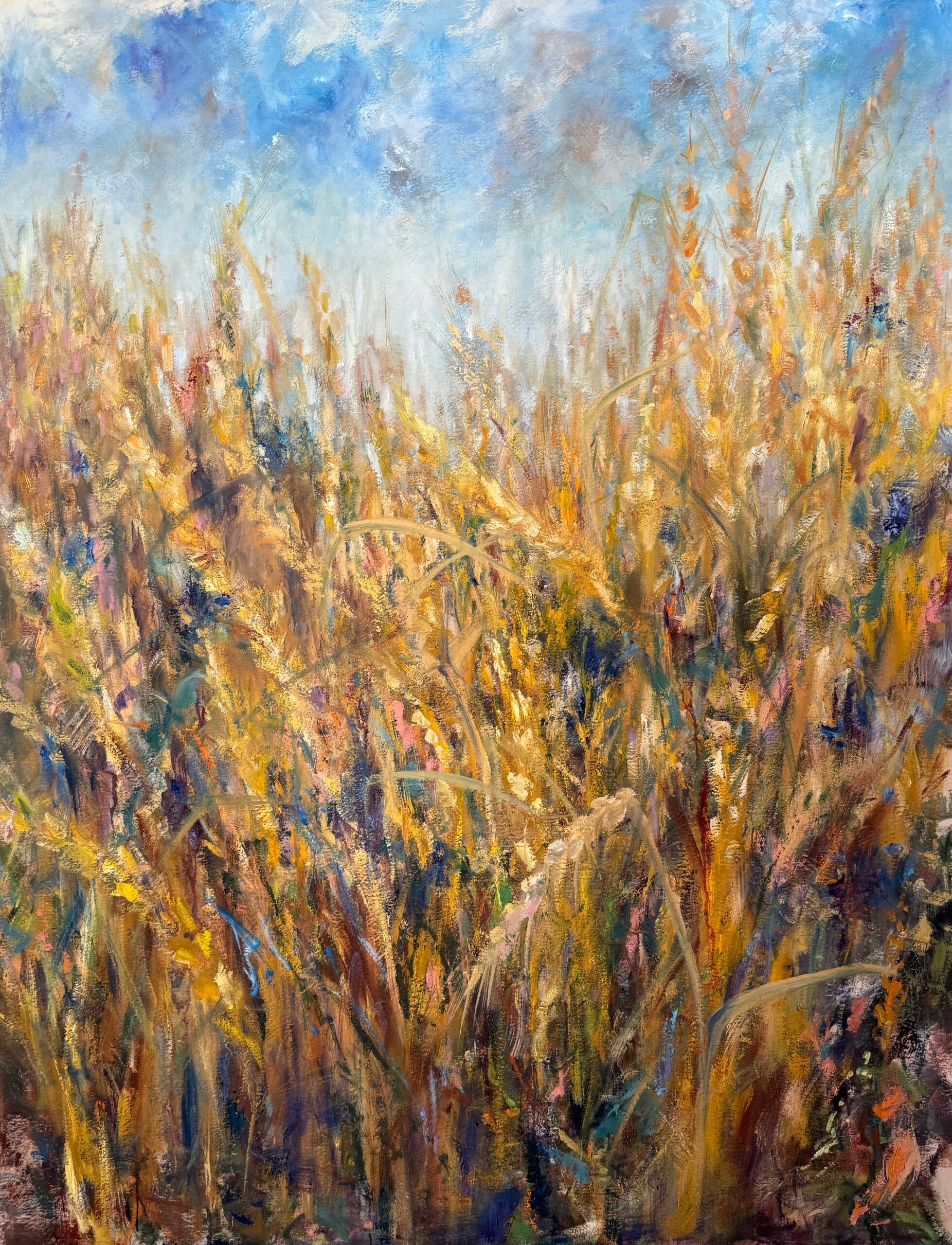 Field Of Wheat